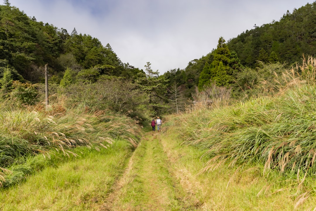 筋トレと有酸素運動の順番と効果｜目的別の最適な組み合わせ - 3